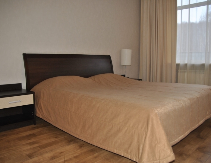 Джуниор сюит 2-местный - Санаторий «Красноярское Загорье» Кожаны