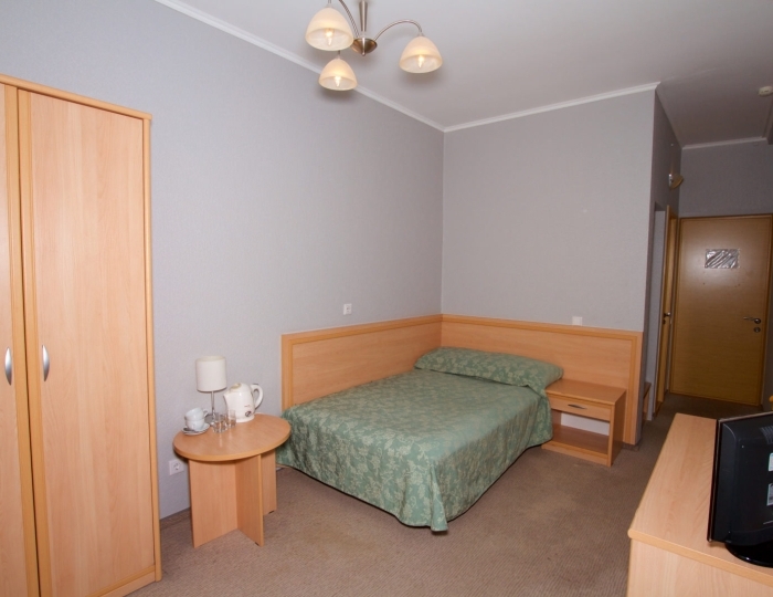 Стандарт  1-местный - Санаторий «Красноярское Загорье» Кожаны