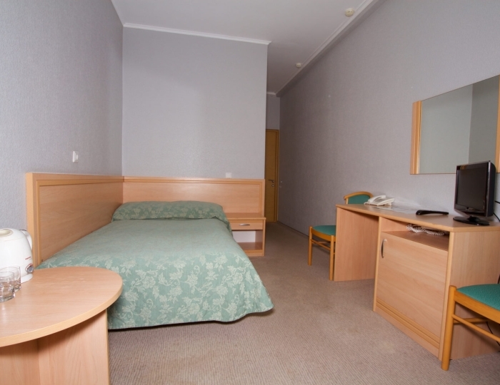 Стандарт  1-местный - Санаторий «Красноярское Загорье» Кожаны